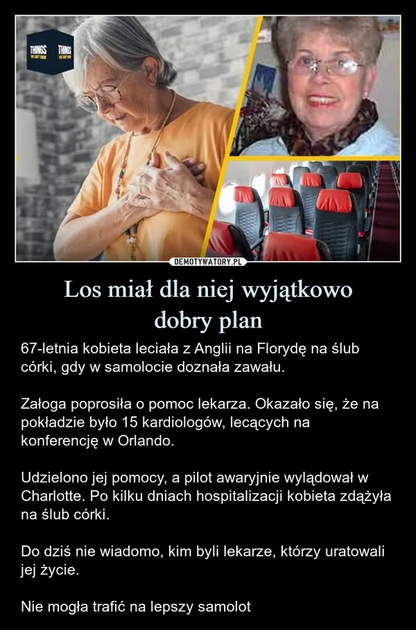 
    Los miał dla niej wyjątkowo dobry plan