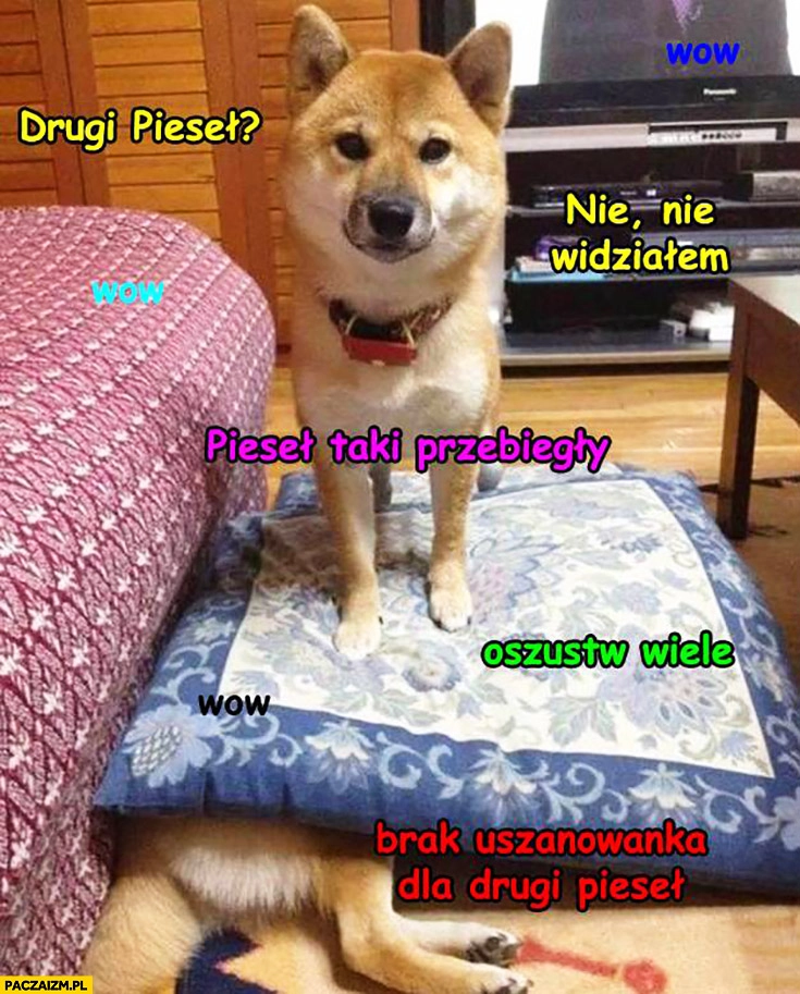
    Drugi pieseł? Nie widziałem. Pieseł taki przebiegły, oszustw tak wiele, wow, brak uszanowanka dla drugi pieseł