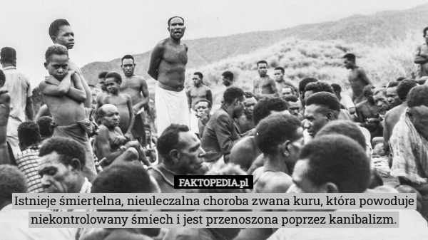 
    Istnieje śmiertelna, nieuleczalna choroba zwana kuru, która powoduje niekontrolowany