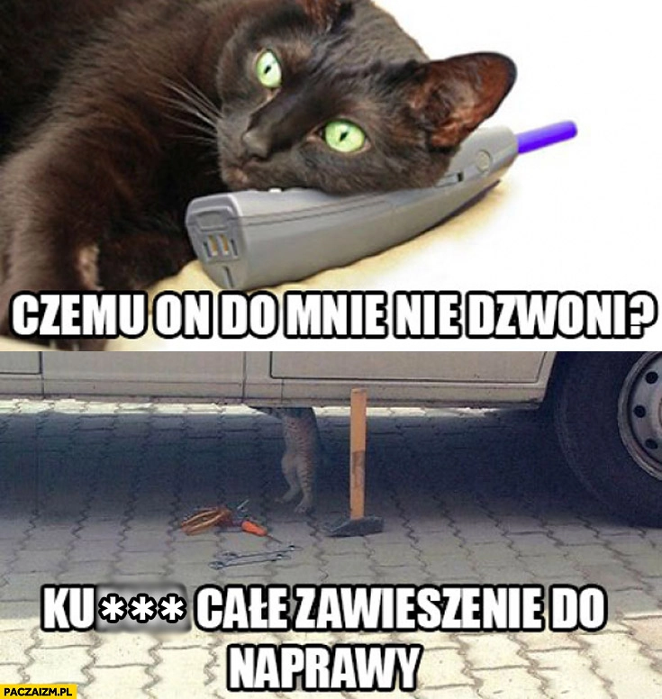 
    Czemu on do mnie nie dzwoni? kot całe zawieszenie do naprawy