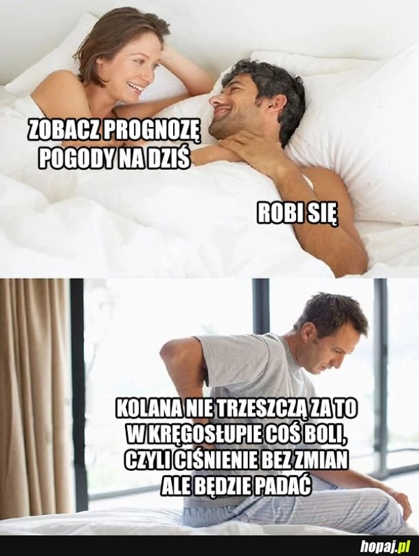 
    Prognoza