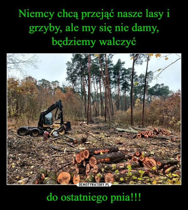 
    Niemcy chcą przejąć nasze lasy i grzyby, ale my się nie damy, będziemy walczyć do ostatniego pnia!!!