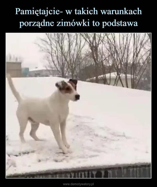 
    Pamiętajcie- w takich warunkach porządne zimówki to podstawa