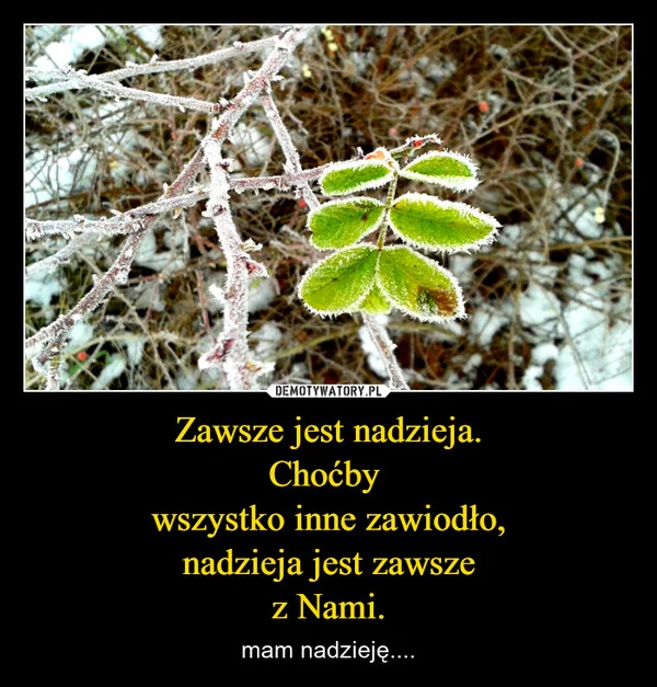 
    Zawsze jest nadzieja. Choćby wszystko inne zawiodło, nadzieja jest zawsze z Nami.