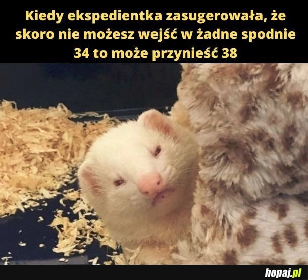 
    To wy macie złą rozmiarówkę. 