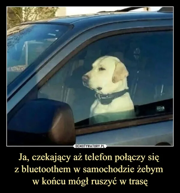
    Ja, czekający aż telefon połączy się z bluetoothem w samochodzie żebym w końcu mógł ruszyć w trasę