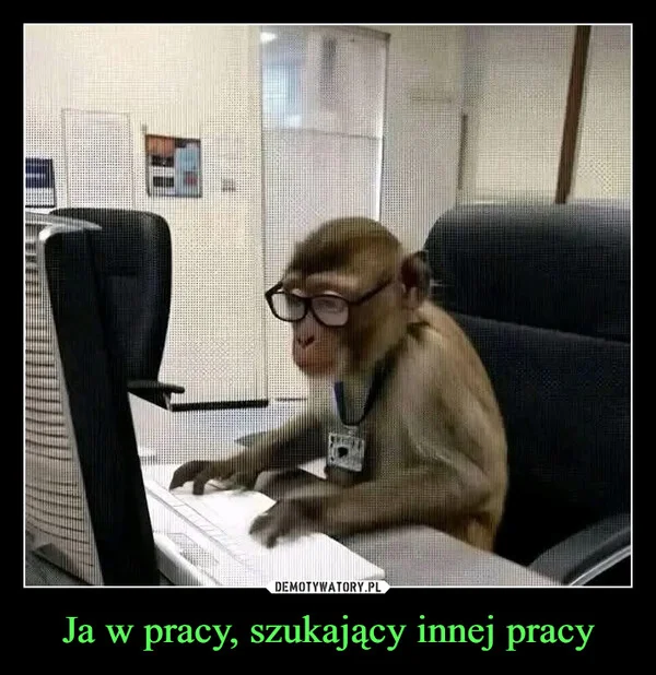 
    Ja w pracy, szukający innej pracy