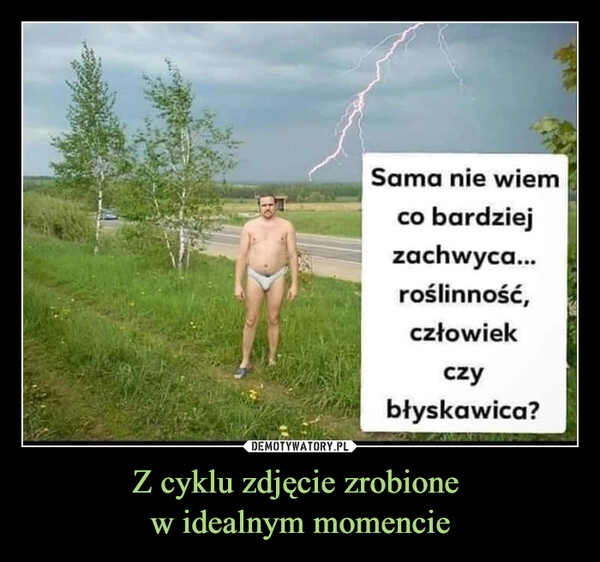 
    Z cyklu zdjęcie zrobione 
w idealnym momencie