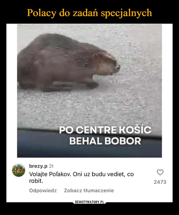 
    Polacy do zadań specjalnych