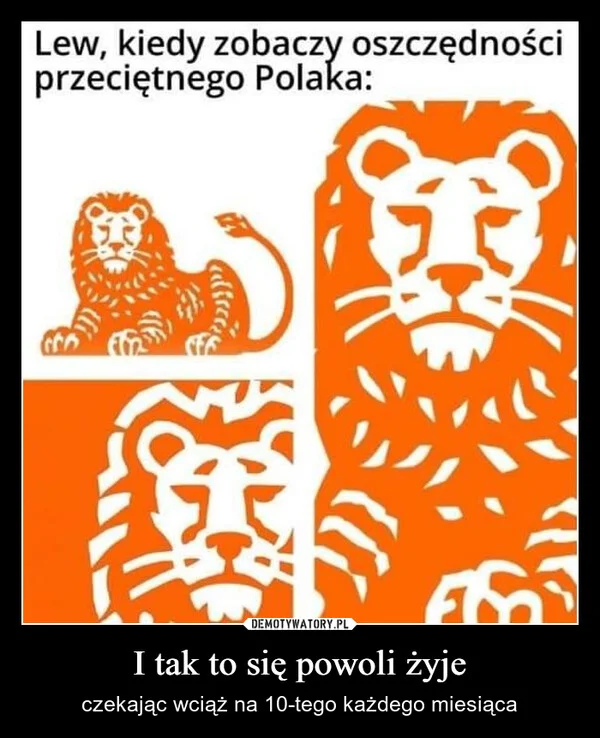 
    I tak to się powoli żyje