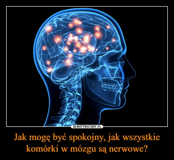 
    Jak mogę być spokojny, jak wszystkie komórki w mózgu są nerwowe?