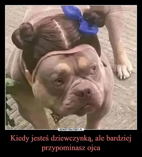 
    Kiedy jesteś dziewczynką, ale bardziej przypominasz ojca