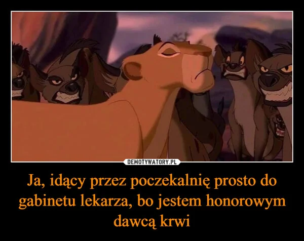 
    Ja, idący przez poczekalnię prosto do gabinetu lekarza, bo jestem honorowym dawcą krwi