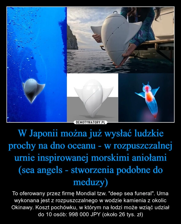 
    W Japonii można już wysłać ludzkie prochy na dno oceanu - w rozpuszczalnej urnie inspirowanej morskimi aniołami (sea angels - stworzenia podobne do meduzy)