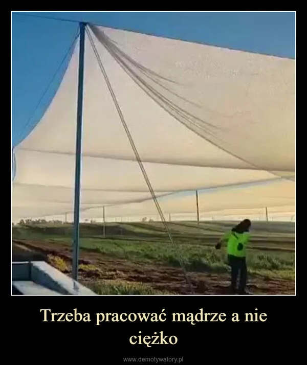
    Trzeba pracować mądrze a nie ciężko
