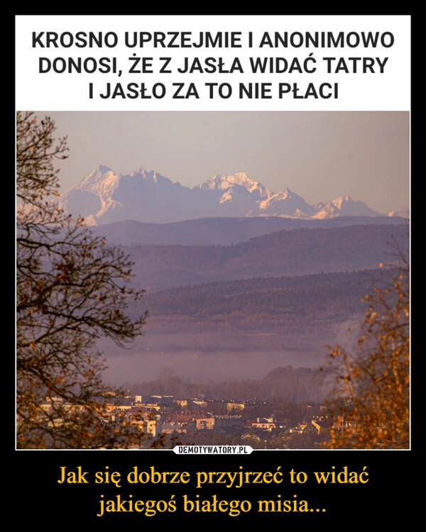 
    Jak się dobrze przyjrzeć to widać jakiegoś białego misia...