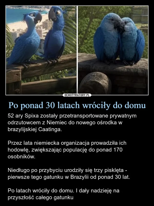 
    Po ponad 30 latach wróciły do domu