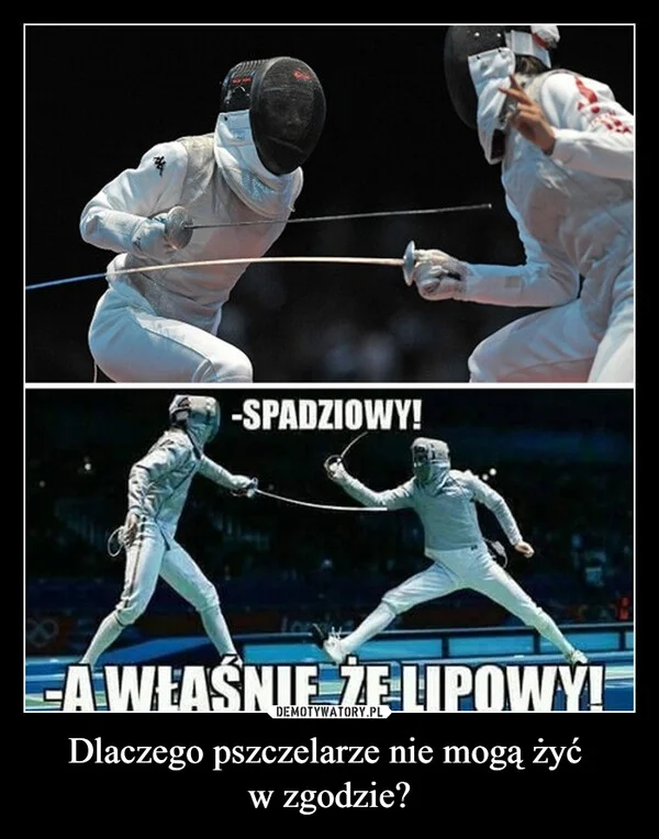 
    Dlaczego pszczelarze nie mogą żyć w zgodzie?