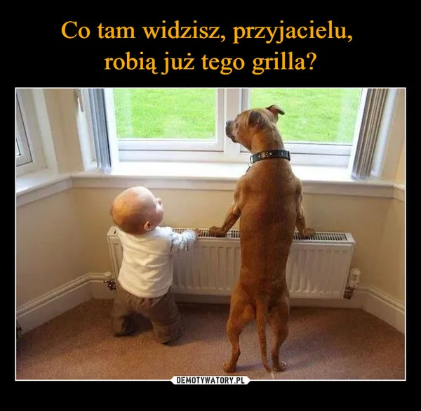 
    Co tam widzisz, przyjacielu, robią już tego grilla?