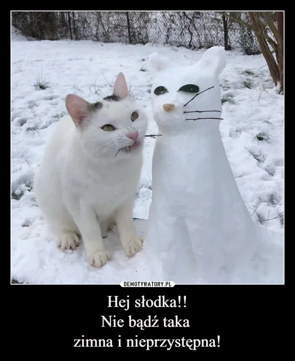 
    Hej słodka!! Nie bądź taka zimna i nieprzystępna!