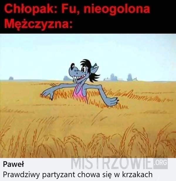 
    Fuj