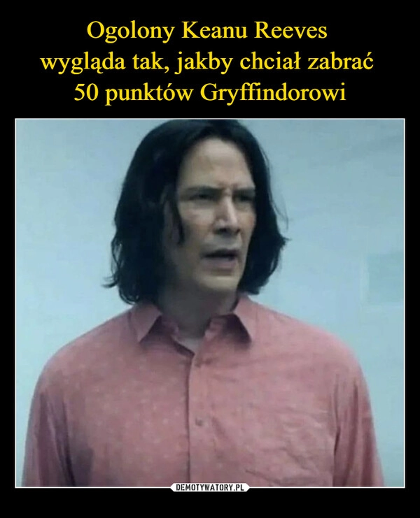 
    Ogolony Keanu Reeves 
wygląda tak, jakby chciał zabrać 
50 punktów Gryffindorowi