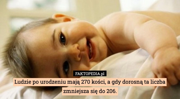 
    Ludzie po urodzeniu mają 270 kości, a gdy dorosną ta liczba zmniejsza się