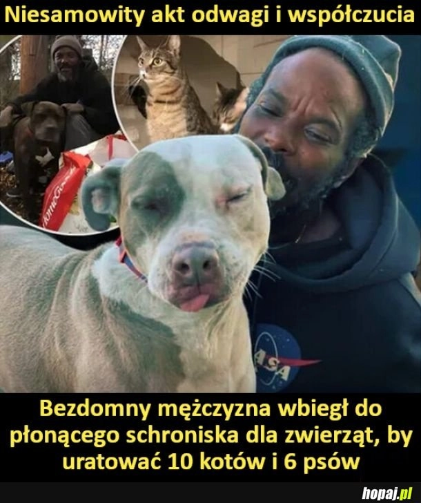 
    Ogromny szacunek dla tego bezdomnego