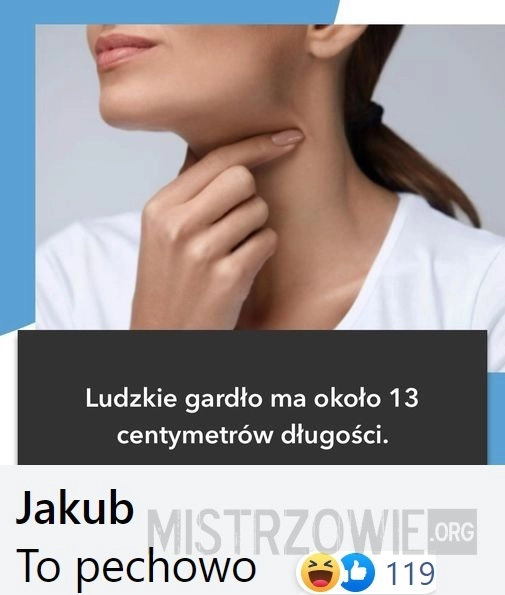 
    Gardło