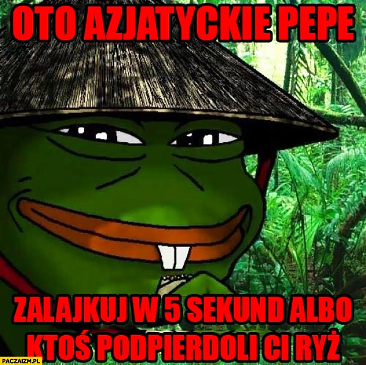 
    Oto azjatyckie Pepe, zalajkuj w 5 sekund albo ktoś podpierdzieli Ci ryż