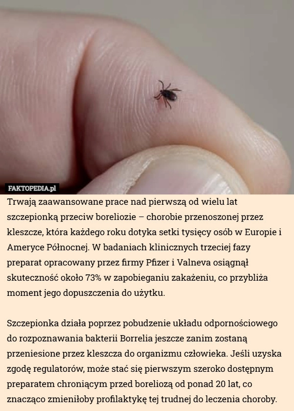 
    Trwają zaawansowane prace nad pierwszą od wielu lat szczepionką przeciw