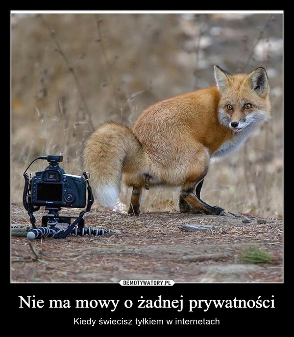 
    Nie ma mowy o żadnej prywatności