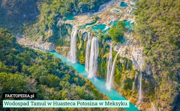 
    Wodospad Tamul w Huasteca Potosina w Meksyku.