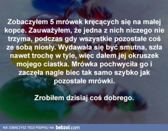 
    Mała rzecz, a cieszy