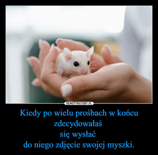 
    Kiedy po wielu prośbach w końcu zdecydowałaś 
się wysłać 
do niego zdjęcie swojej myszki.