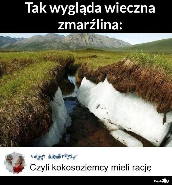 
    Kokosoziemcy 