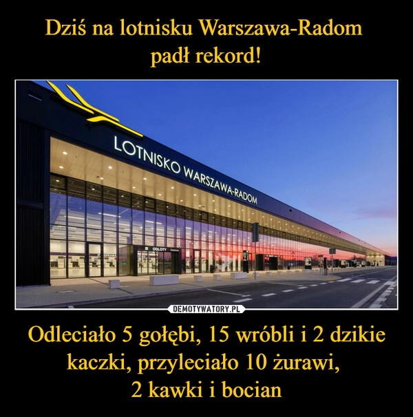 
    Dziś na lotnisku Warszawa-Radom 
padł rekord! Odleciało 5 gołębi, 15 wróbli i 2 dzikie kaczki, przyleciało 10 żurawi, 
2 kawki i bocian