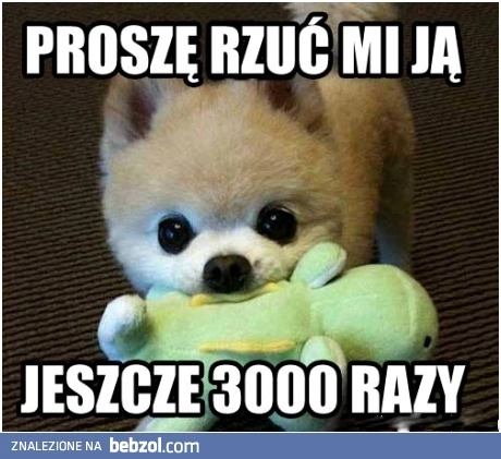 Zabawa z psem