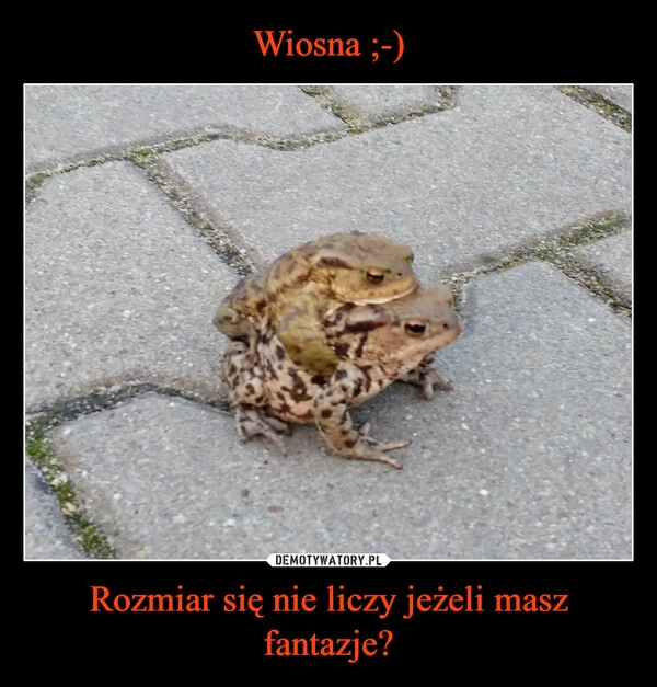 
    Wiosna ;-) Rozmiar się nie liczy jeżeli masz fantazje?