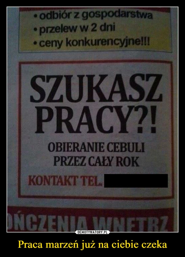 
    Praca marzeń już na ciebie czeka