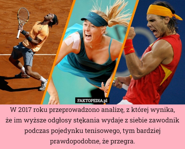 
    W 2017 roku przeprowadzono analizę, z której wynika,
że im wyższe odgłosy