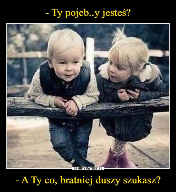 
    - Ty pojeb..y jesteś? - A Ty co, bratniej duszy szukasz?