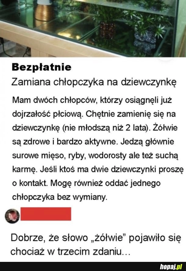 
    Dziwnie się zaczęło to czytać