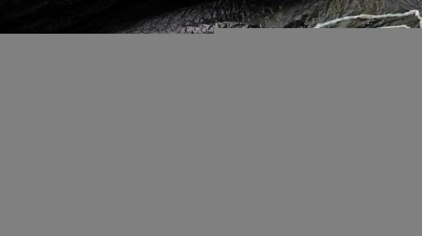 
    Tasiemiec może urosnąć do wielu metrów długości i żyć niewykryty wewnątrz