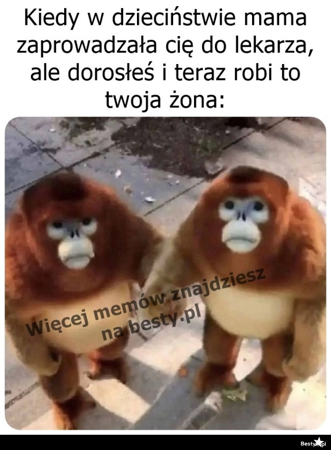 
    Dorosły mężczyzna 