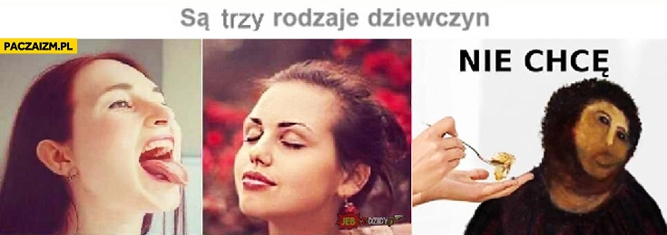 
    Są trzy rodzaje dziewczyn