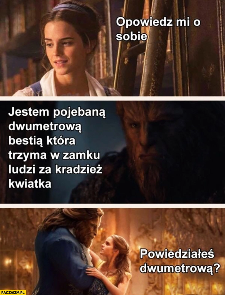 
    Opowiedz mi o sobie, jestem pojechaną dwumetrową bestią która trzyma w zamku ludzi za kradzież kwiatka, powiedziałeś dwumetrowa Piękna i Bestia