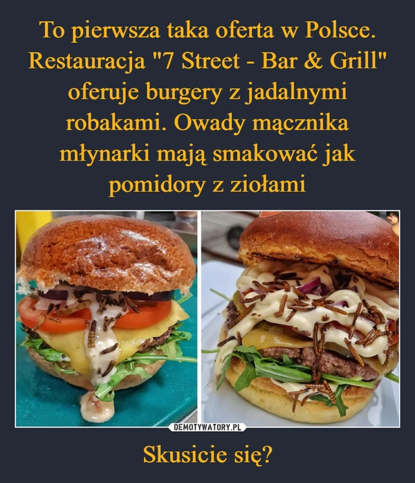 
    To pierwsza taka oferta w Polsce. Restauracja "7 Street - Bar & Grill" oferuje burgery z jadalnymi robakami. Owady mącznika młynarki mają smakować jak pomidory z ziołami Skusicie się?