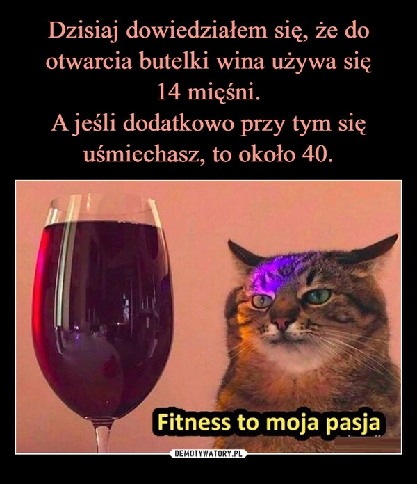 
    Dzisiaj dowiedziałem się, że do otwarcia butelki wina używa się
14 mięśni.
A jeśli dodatkowo przy tym się uśmiechasz, to około 40.