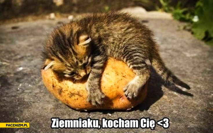 
    Ziemniaku kocham Cię